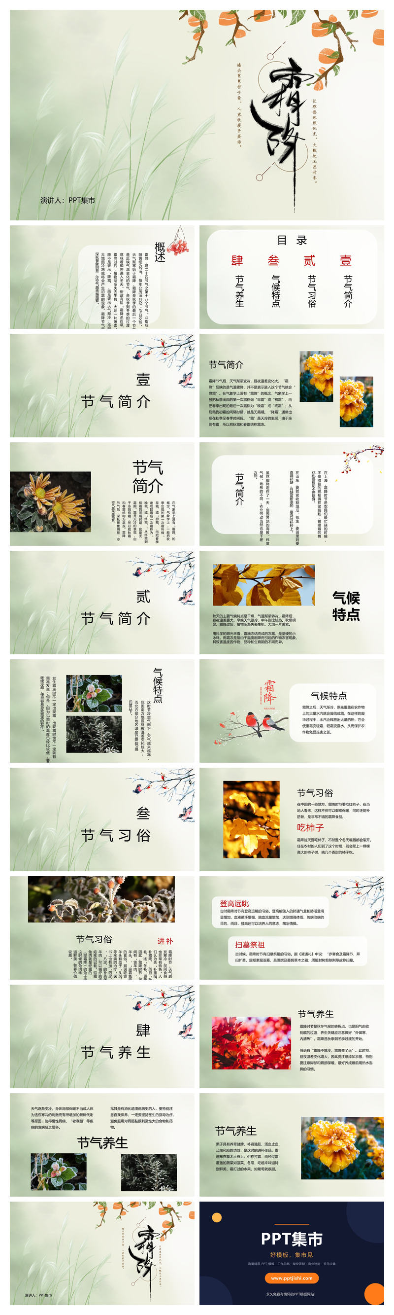 茅草柿子霜降节气PPT模板