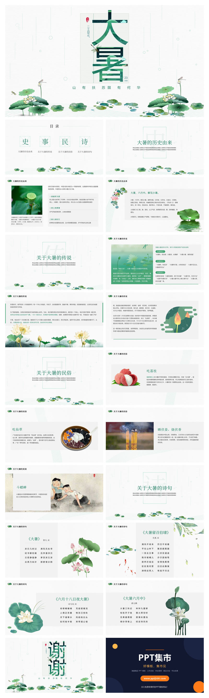 荷叶大暑节气介绍PPT模板