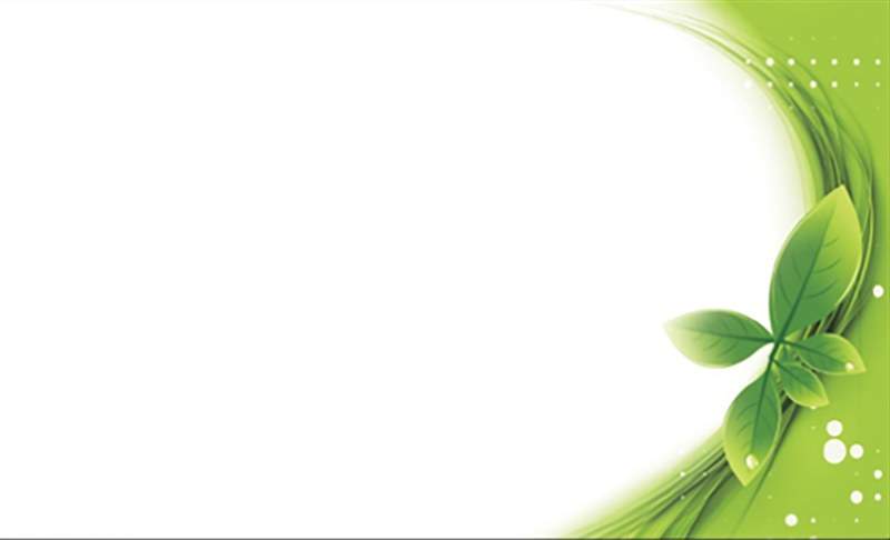 简约绿色叶子植物PPT背景图片