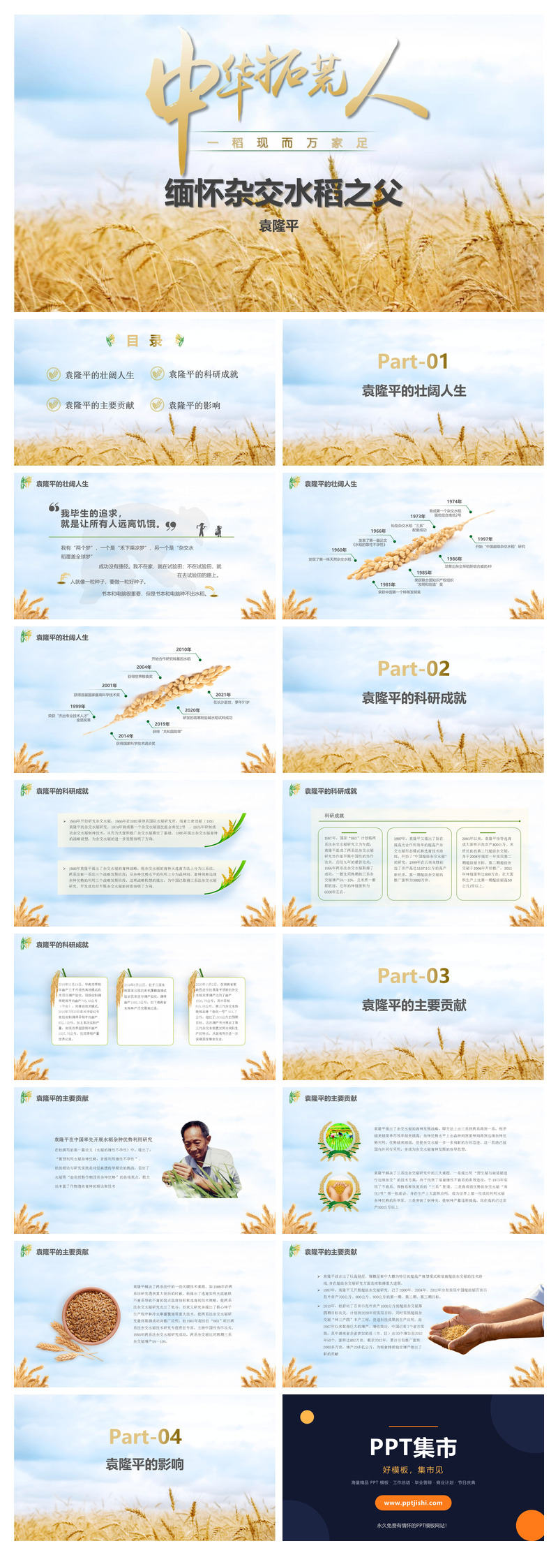 缅怀杂交水稻之父袁隆平PPT模板