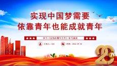实现中国梦需要依靠青年也能成就青年论党的青年工作PPT模板