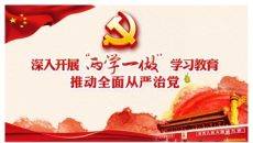 两学一做党课课件PPT模板