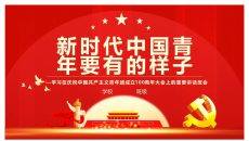 新时代中国青年要有的样子PPT模板