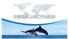 海洋环境保护宣传PPT模板