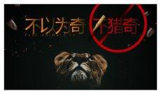 野生动物保护教育PPT模板