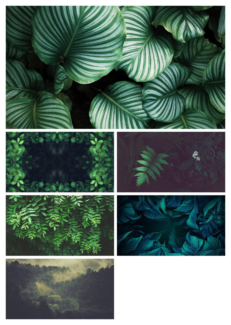 养眼绿色植物PPT背景图片