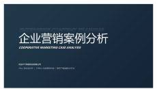 极简营销策划案例分析PPT模板