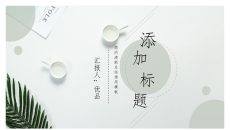 清新淡雅简洁通用PPT模板