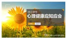中小学心理健康应知应会PPT模板