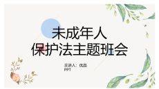 未成年人保护法主题班会PPT模板