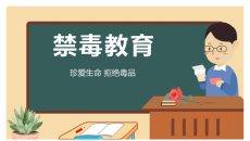 珍爱生命禁毒教育班会PPT模板