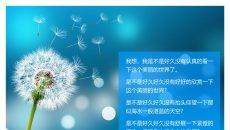唯美蒲公英PPT背景图片下载