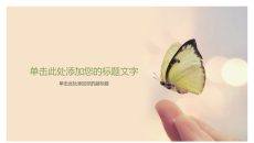 指尖上的蝴蝶PPT背景图片