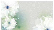 淡雅柔美花朵PPT背景图片