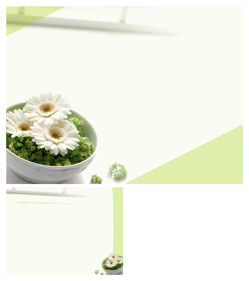 淡雅雏菊幻灯片背景图片