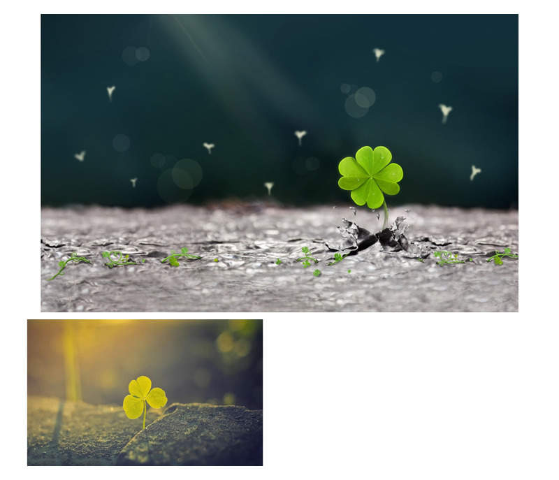 生机盎然四叶草PPT背景图片