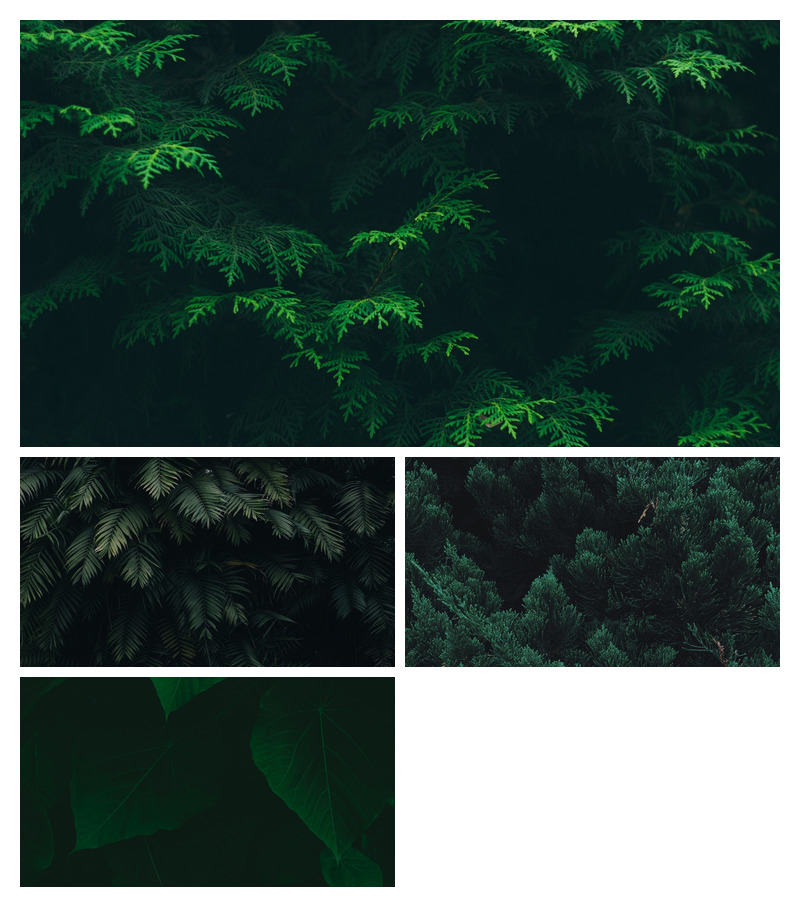绿叶绿色植物叶子PPT背景图片