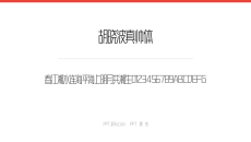 胡晓波真帅体