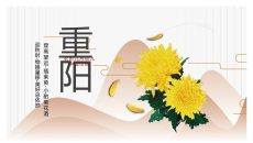 菊花重阳节介绍PPT模板