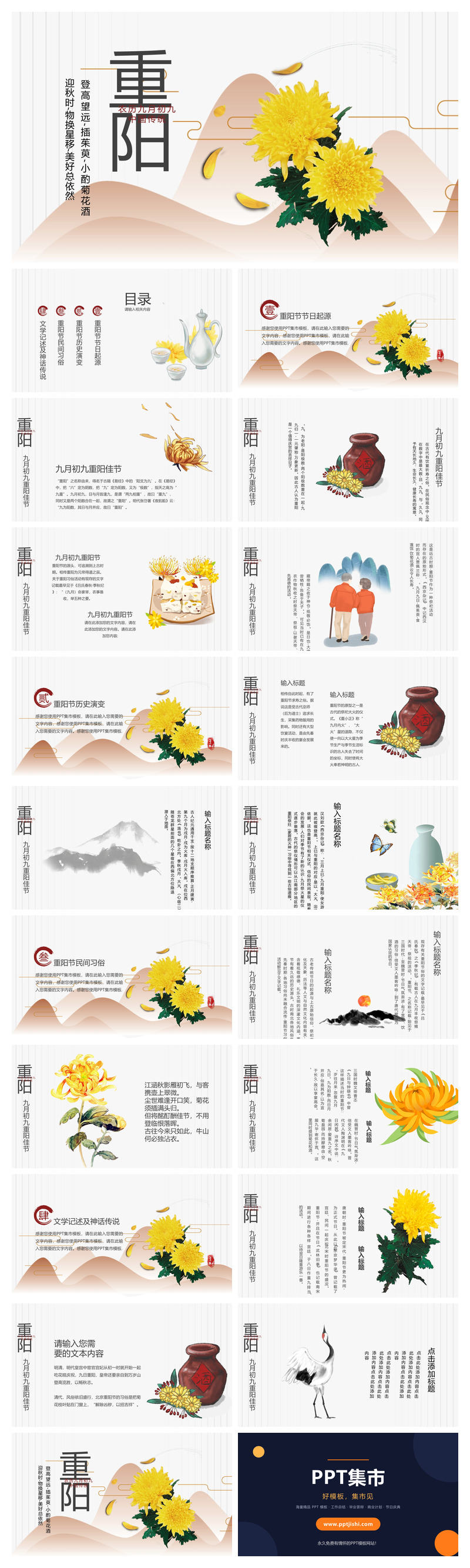 菊花重阳节介绍PPT模板