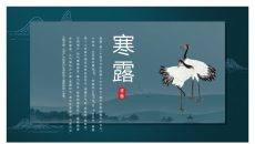 仙鹤寒露节气介绍PPT模板