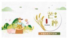 农民麦穗芒种节气PPT模板