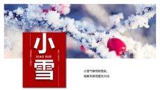 冰雪树枝小雪节气PPT模板
