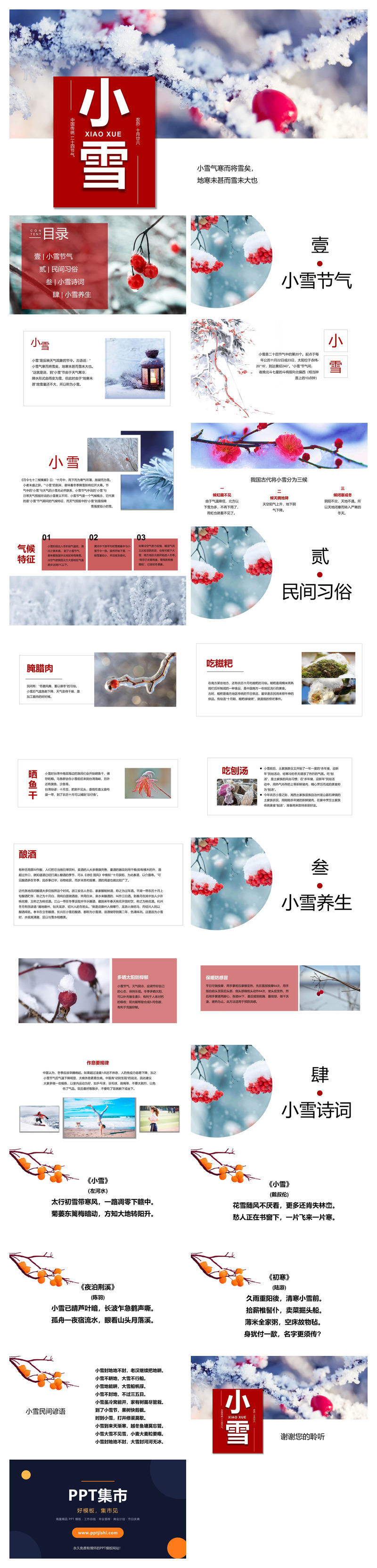 冰雪树枝小雪节气PPT模板