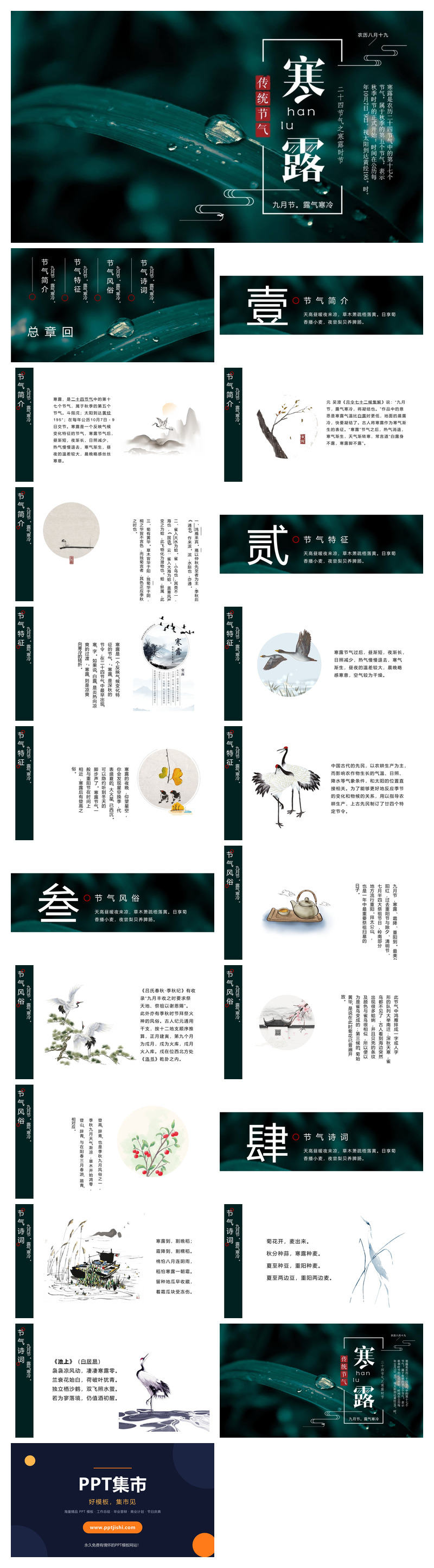 叶子露珠寒露节气PPT模板