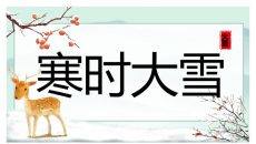 小鹿大雪节气介绍PPT模板