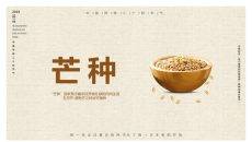 木碗麦粒芒种节气PPT模板