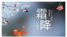 树枝小鸟霜降节气PPT模板