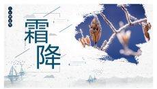 树枝霜降节气介绍PPT模板