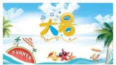 海边海星大暑节气PPT模板