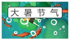 荷叶鲤鱼大暑节气PPT模板