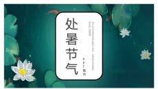 荷塘荷花处暑节气PPT模板