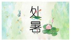 荷花蜻蜓处暑节气PPT模板