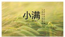 麦田小满节气介绍PPT模板