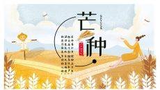 麦田稻草人芒种节气PPT模板
