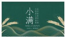 麦穗小满节气主题PPT模板