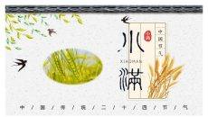 麦穗燕子小满节气PPT模板