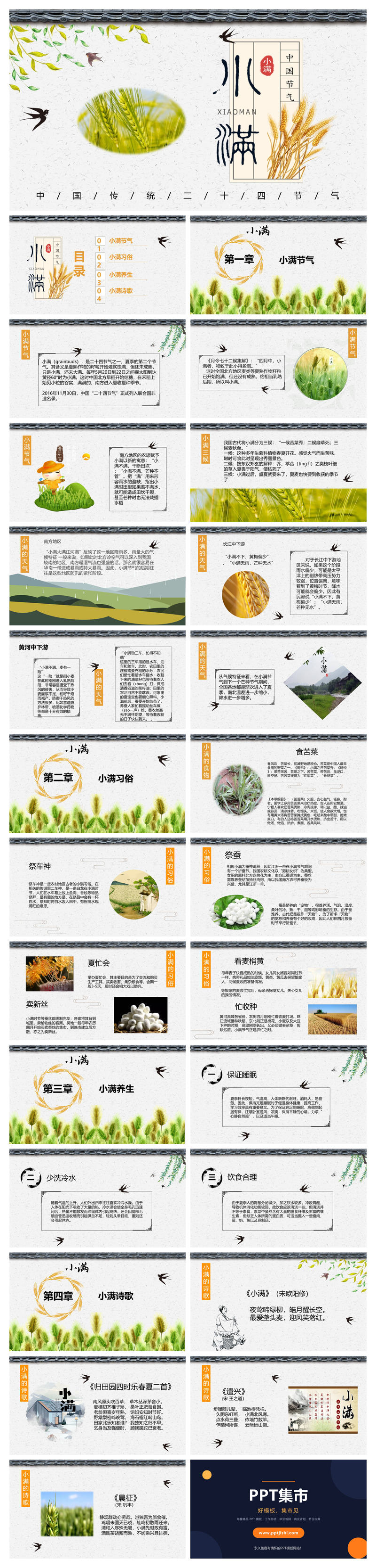 麦穗燕子小满节气PPT模板