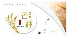 麦穗芒种节气介绍PPT模板