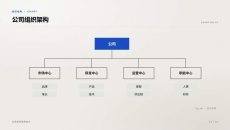 公司组织架构PPT图表