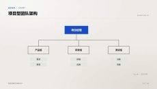 项目型团队架构PPT图表