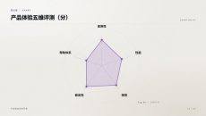 产品体验五维评测PPT图表