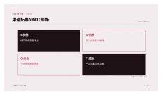 渠道拓展SWOT矩阵PPT图表