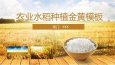 丰收好物农产品品牌推广乡村振兴PPT模板