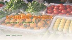 农产品电商助农品牌推广营销方案PPT模板
