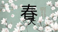 春天素雅花朵PPT模板